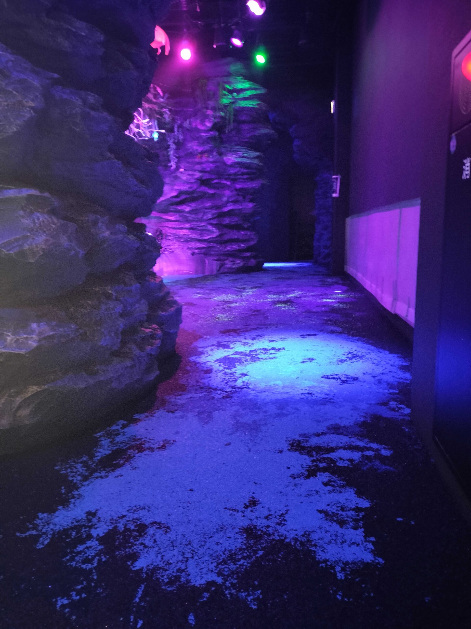 「沼津港深海水族館」様 ゴムチップ造形舗装